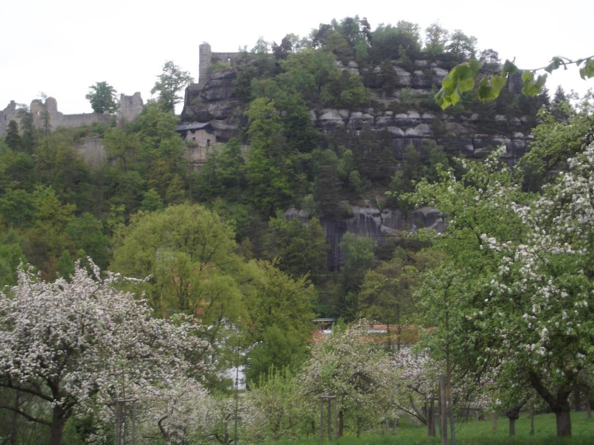 Hotel Zum Hecht Herrnhut Exteriér fotografie